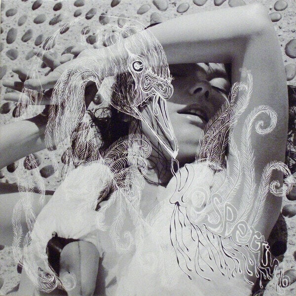 Björk - Vespertine (180g) (2 LP) Björk 
                                5016958046019 
                                5016958046019 