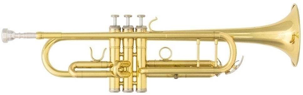 Victory VTR Student Bb Trompette Victory 
                                 
                                TCCTR-01L 