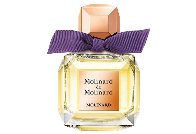 Molinard de Molinard Molinard Molinard 
                                 
                                Molinard de Molinard Molinard 