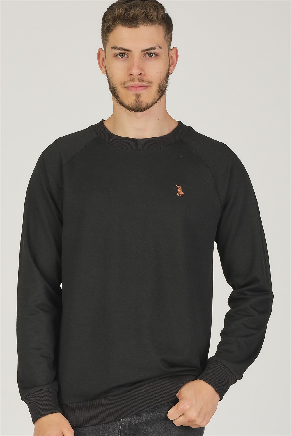 Herren Pullover dewberry