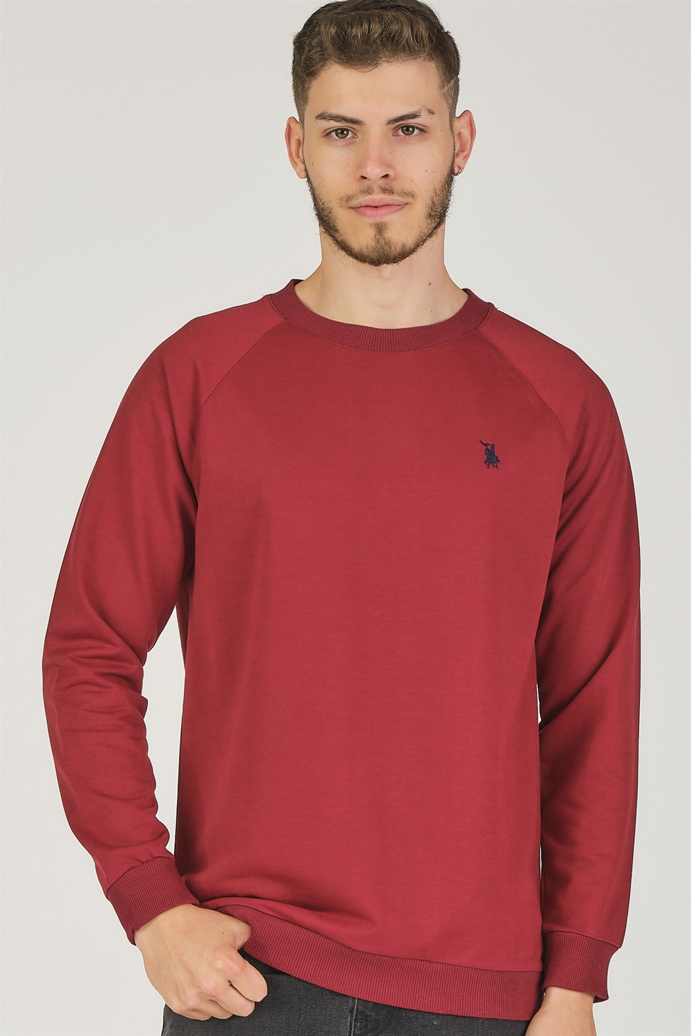 Herren Pullover dewberry