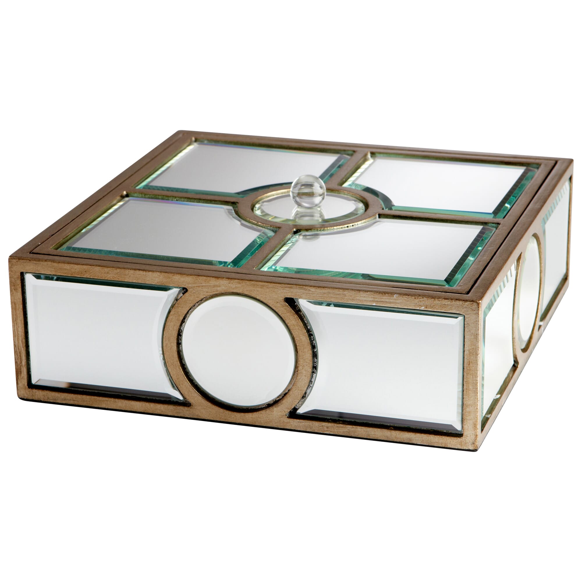 Through The Lens Containr in Clear And Gold