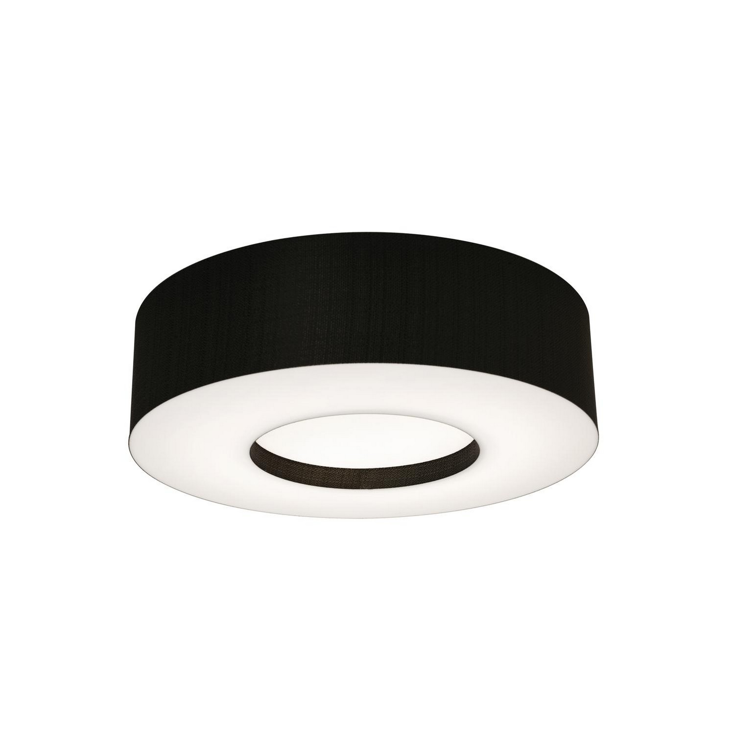 Montclair 2-Light Flush Mount in Black