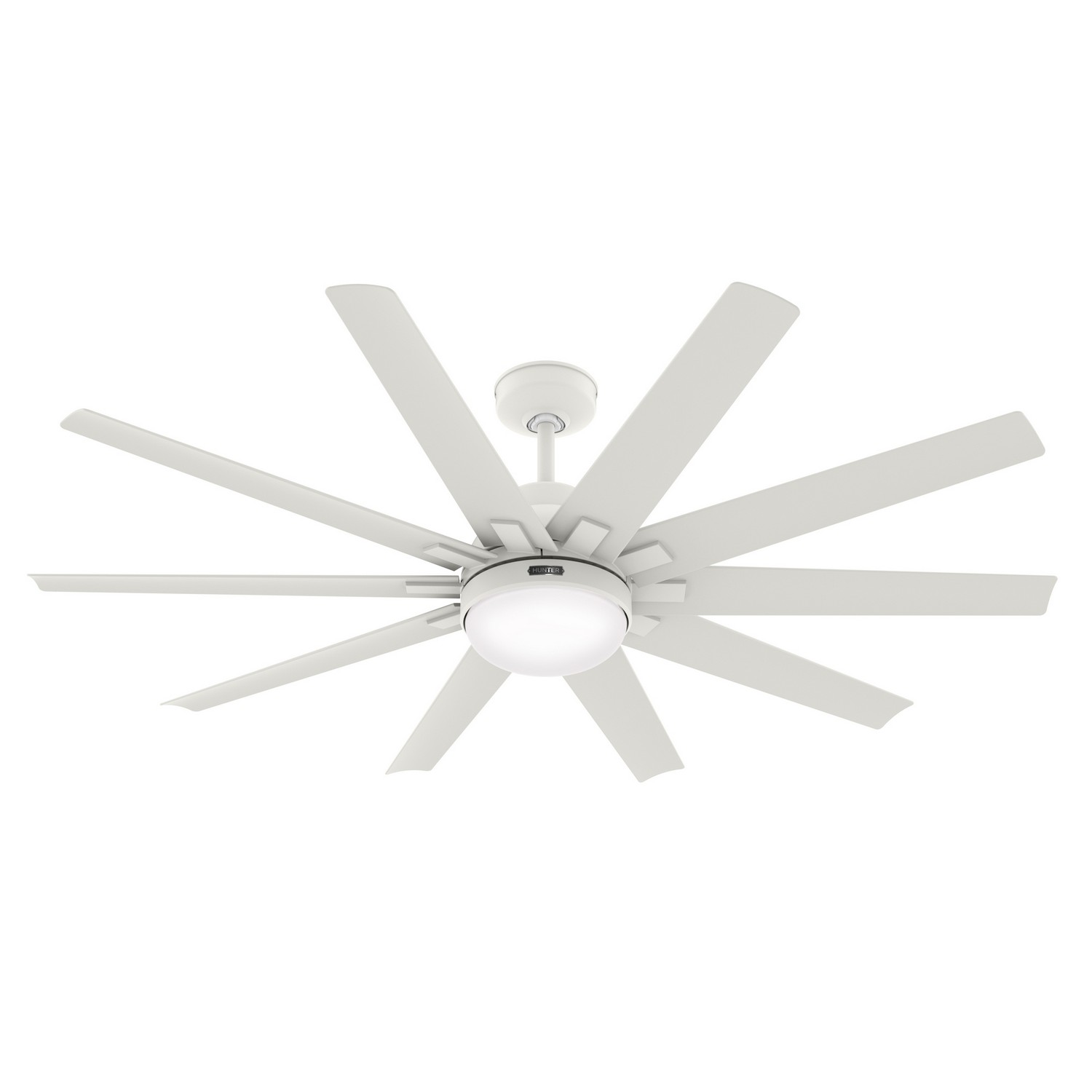 Overton 2-Light 60" Ceiling Fan in Matte White