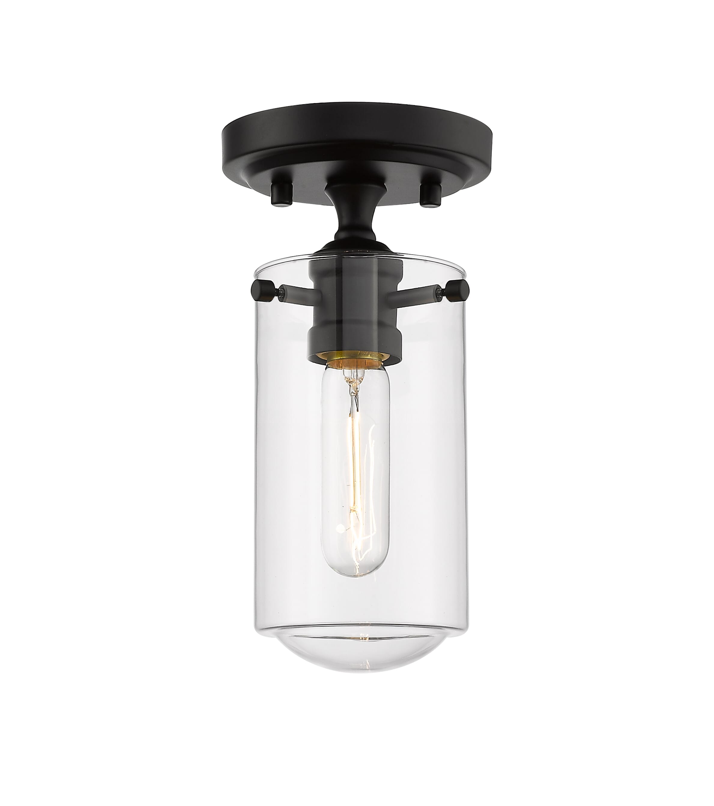 Delaney 1-Light Flush Mount Ceiling Light In Matte Black