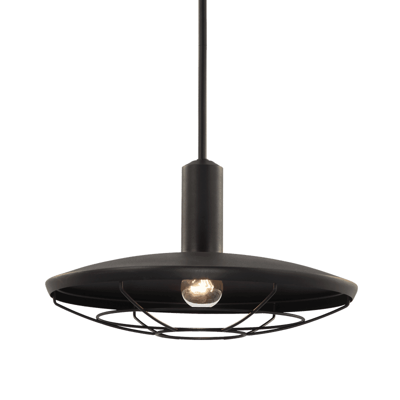 Compton 1-Light Pendant Light In Matte Black