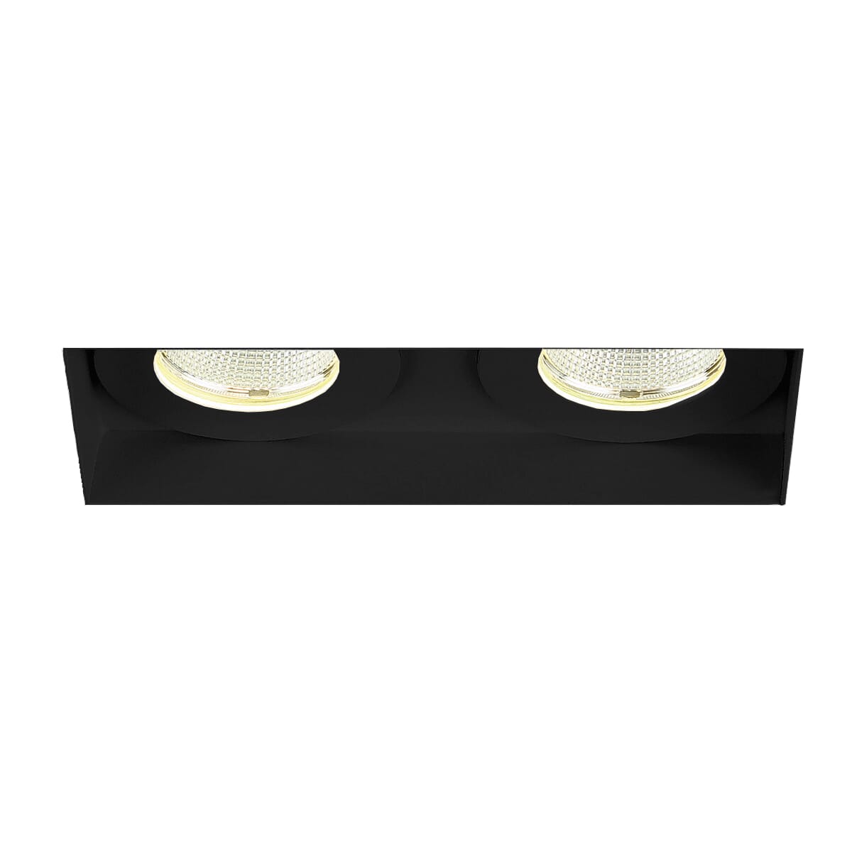 Amigo 2-Light Ceiling Light in Black