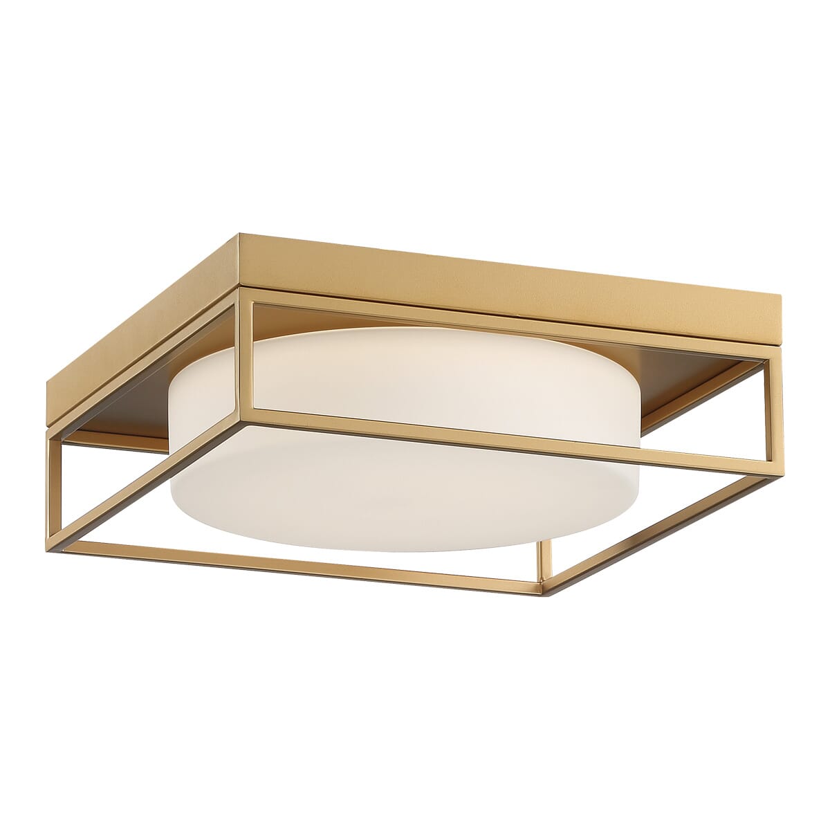 Rover Ceiling Light