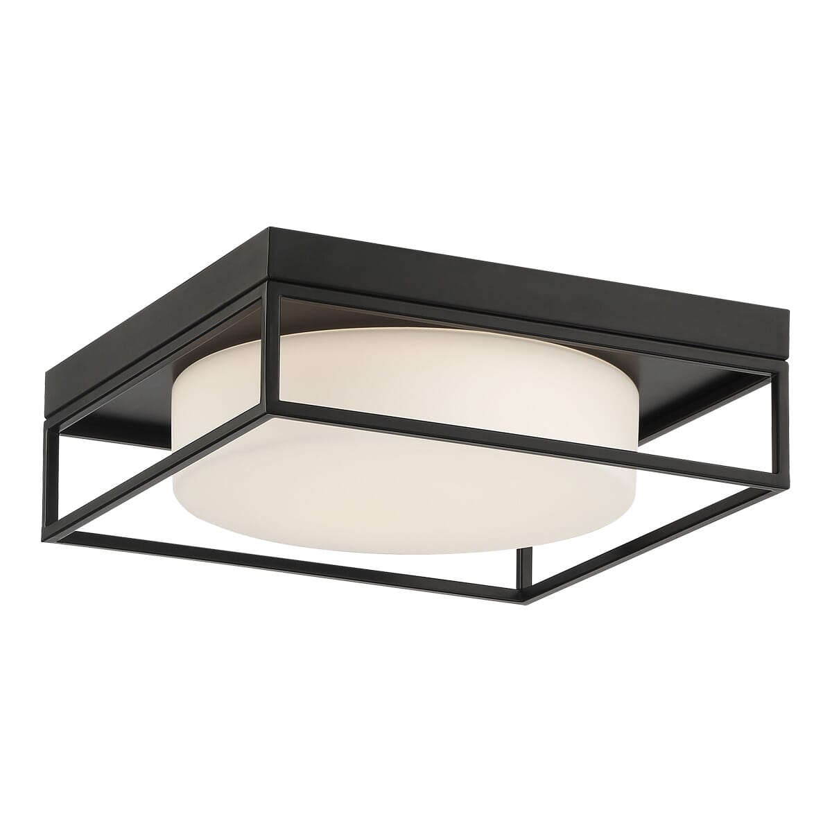 Rover Ceiling Light