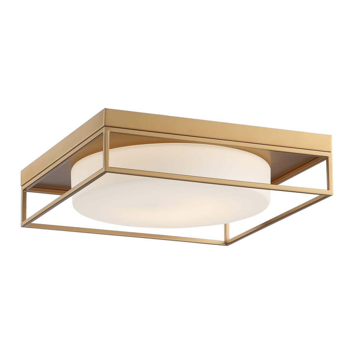 Rover Ceiling Light