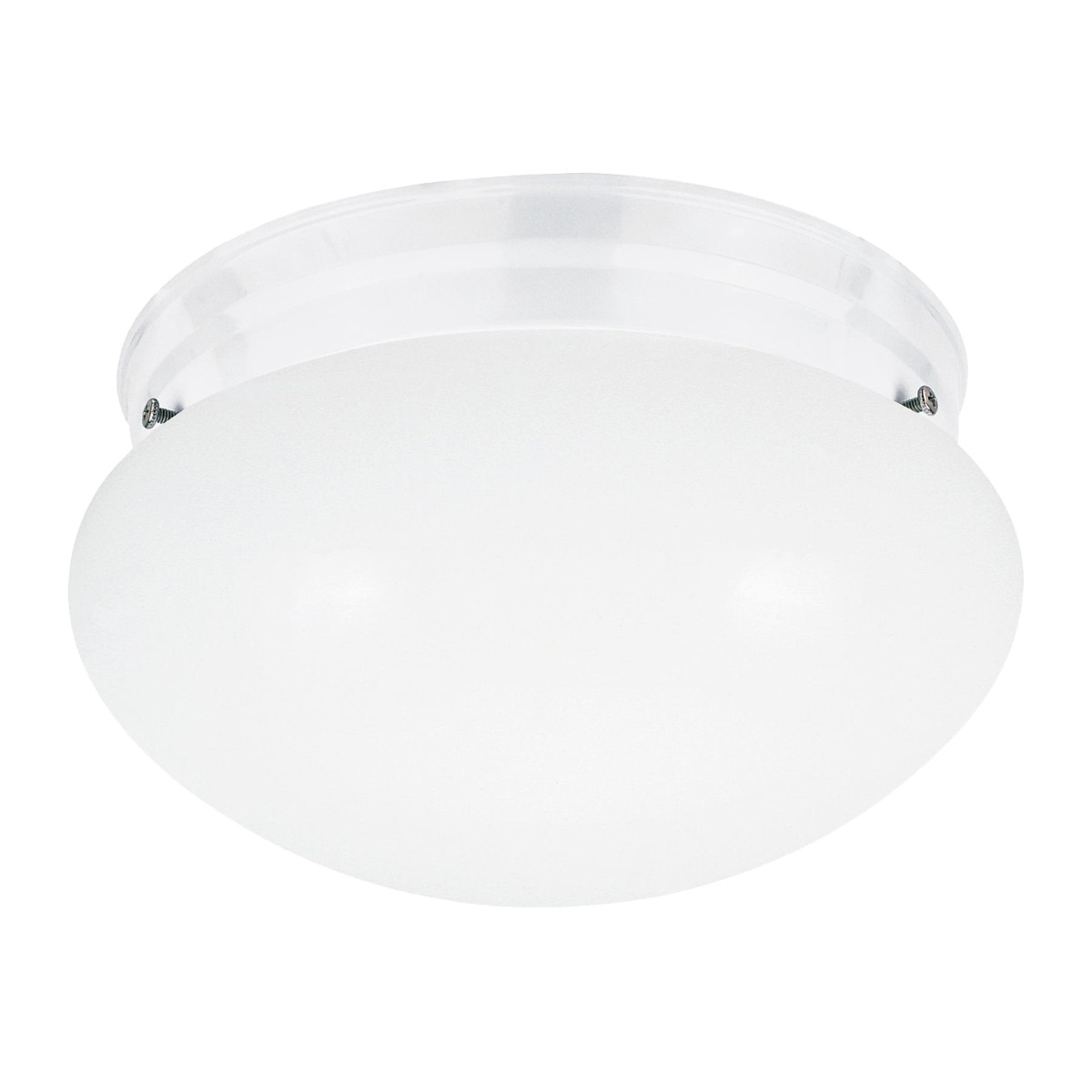 Webster 1-Light Flush Mount in White