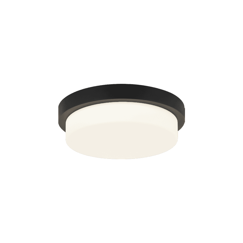 Matteo Durham 1-Light Ceiling Light In Matte Black
