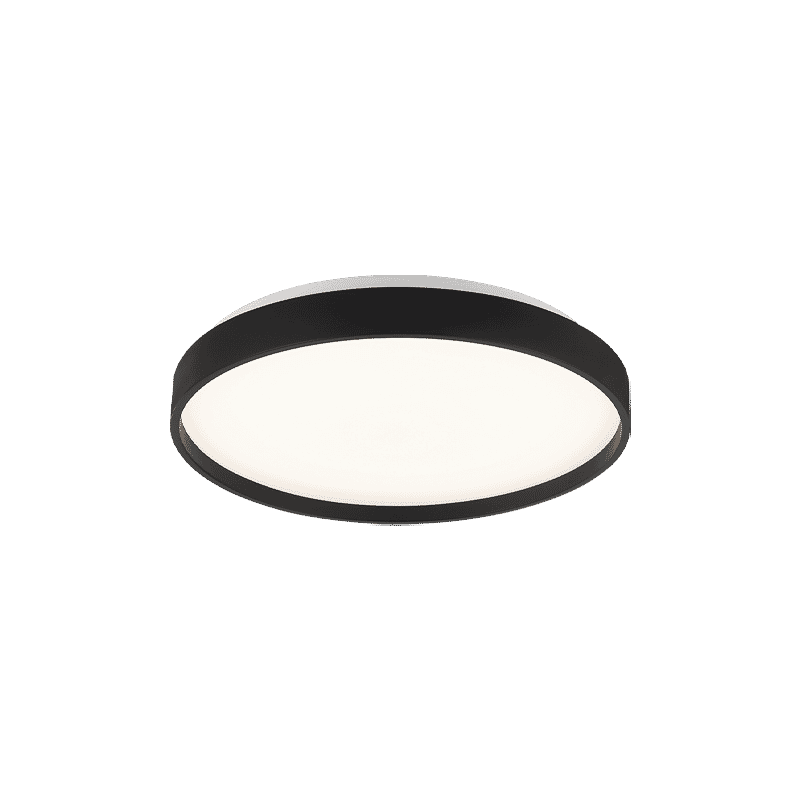 Matteo Alexandre 1-Light Ceiling Light In Black