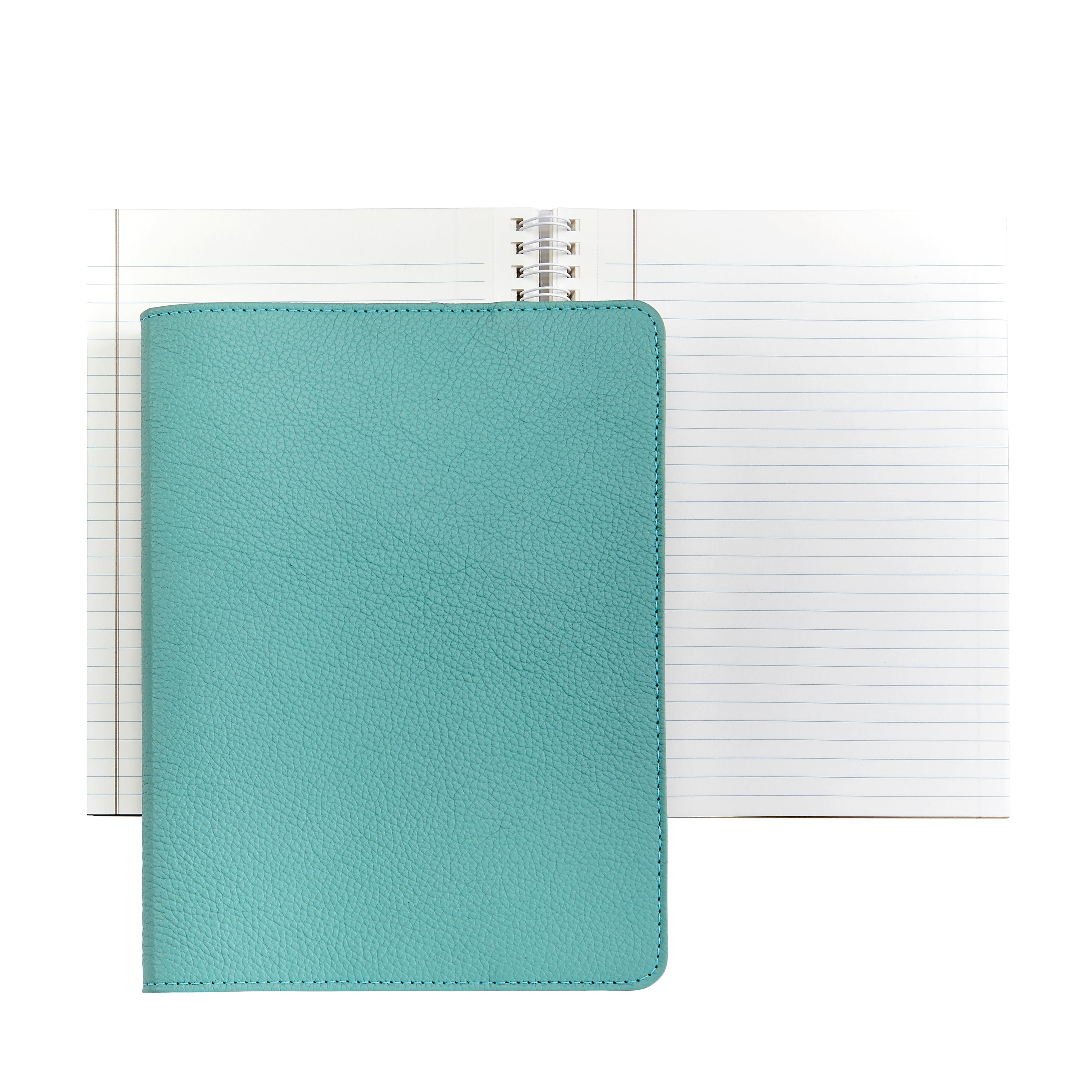 Graphic Image 9" Wire-O-Notebook Robin's Egg Blue Goatskin Leather