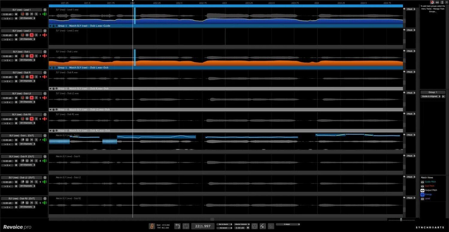 Synchro Arts Revoice Pro 5 Crossgrade (Produit numérique)