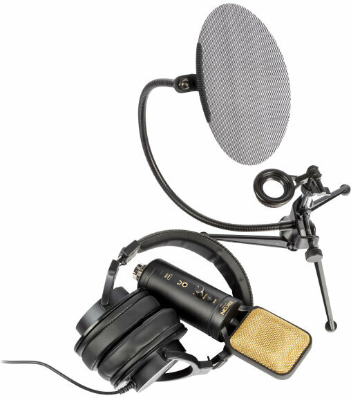 EIKON EKSBTWO Microphone à condensateur pour studio 8032496974772