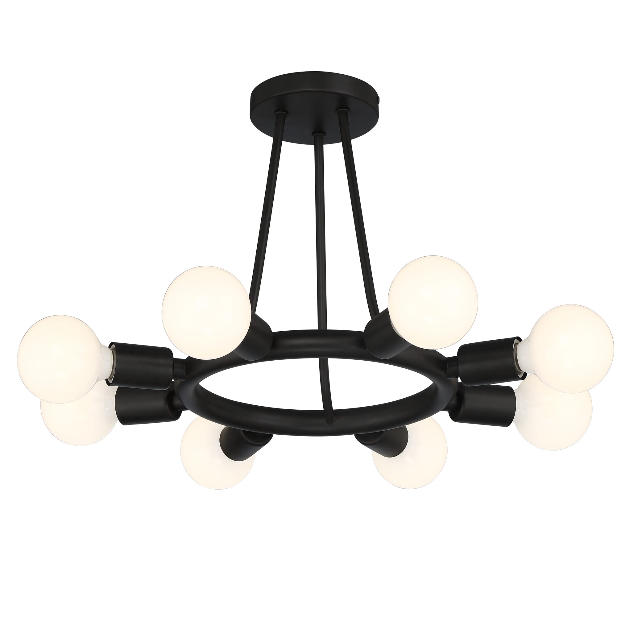 Dakota 8-Light Ceiling Light in Black
