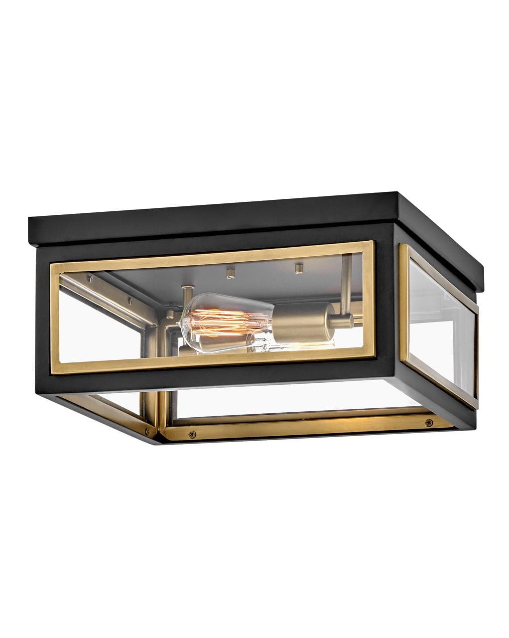 Shaw 2-Light Flush Mount Ceiling Light In Black