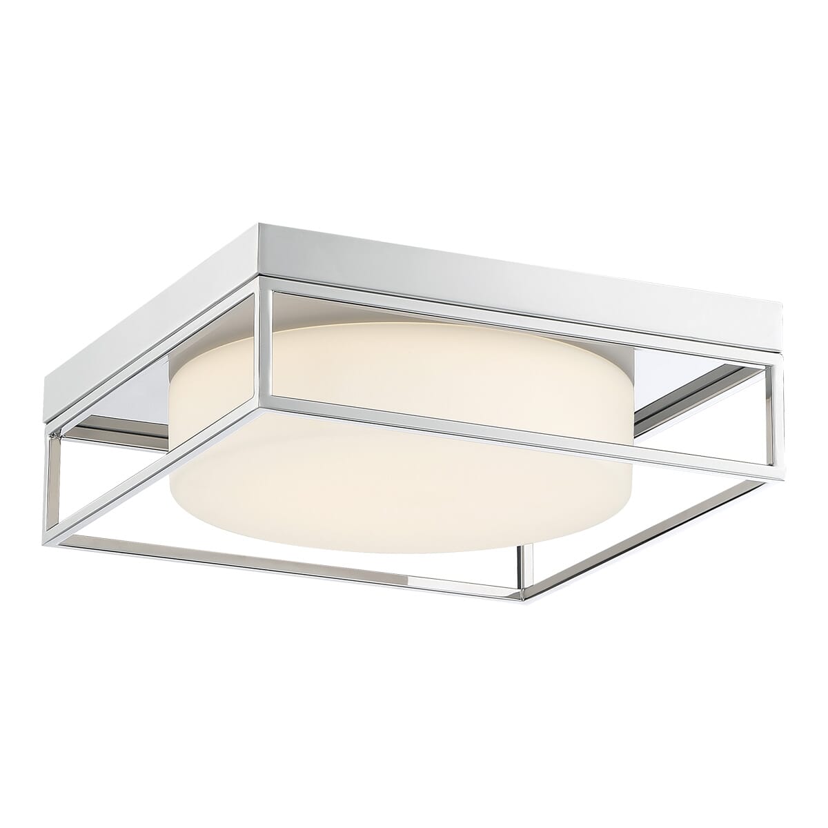 Rover Ceiling Light
