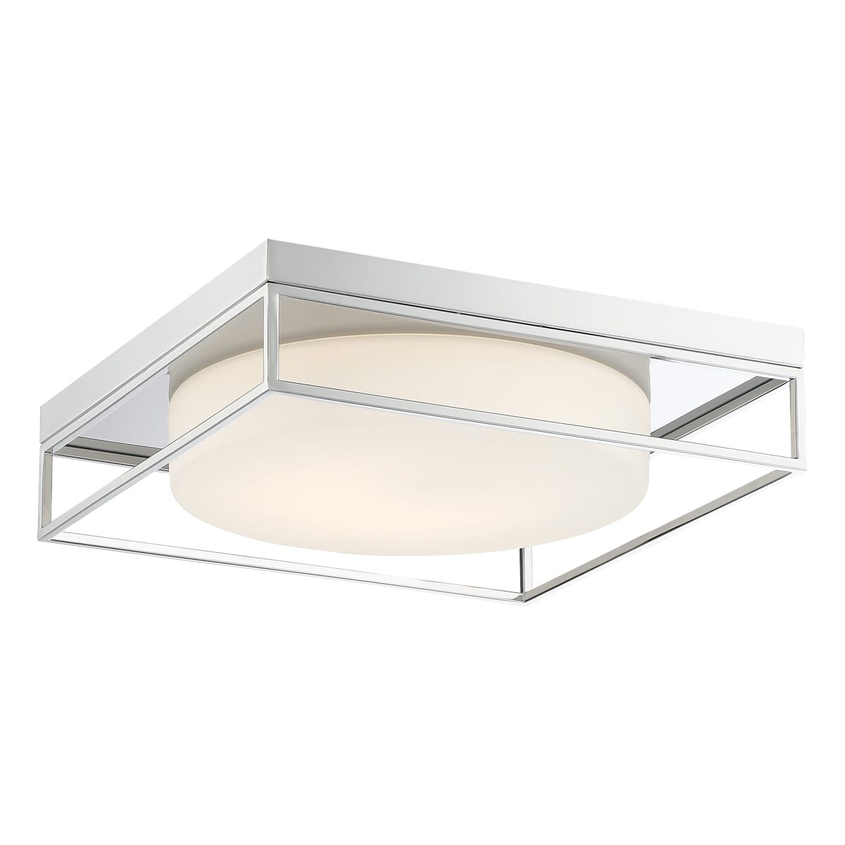 Rover Ceiling Light