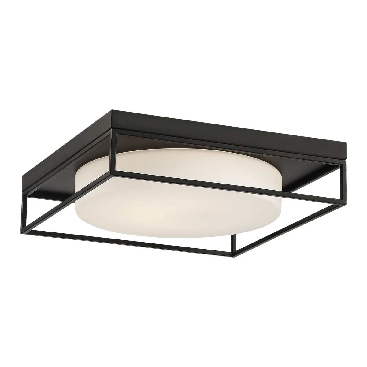 Rover Ceiling Light