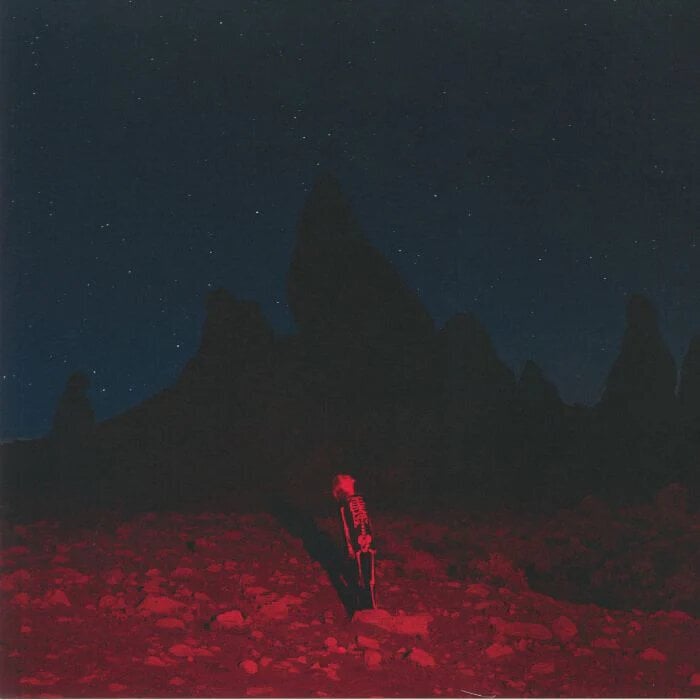 Pheobe Bridgers - Punisher (LP)